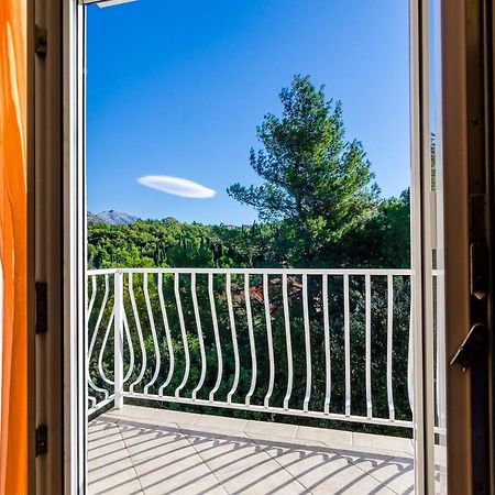 Apartments Zrno ツァヴタット エクステリア 写真