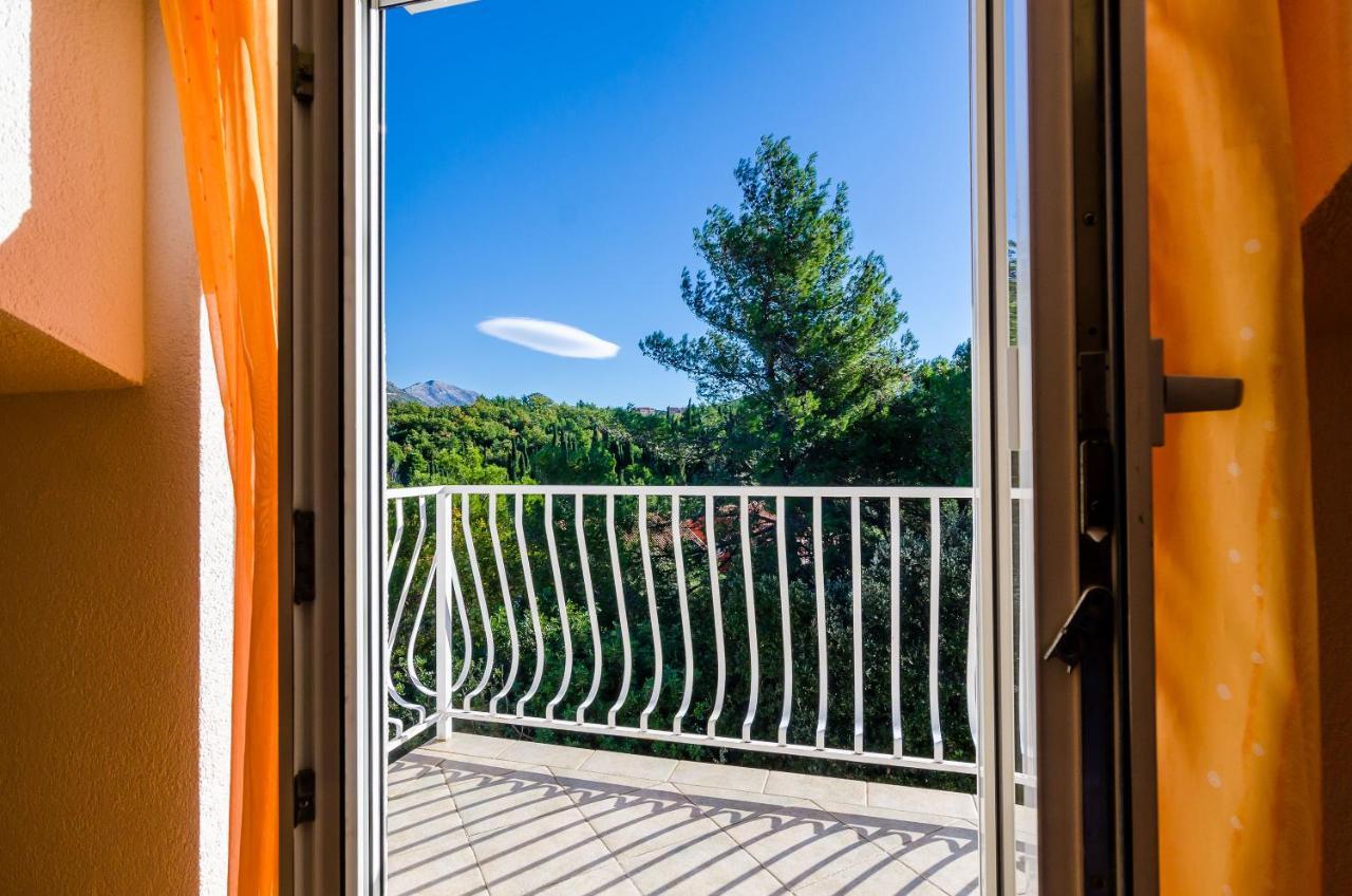Apartments Zrno ツァヴタット エクステリア 写真